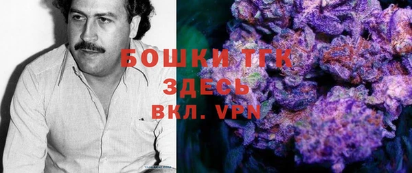 герыч Алексин