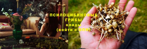 герыч Алексин